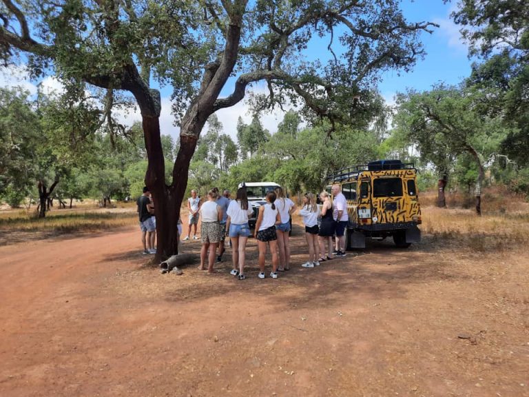 Jeep Safari Tour - Full Day From Albufeira